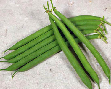 Desperado Bean Seeds